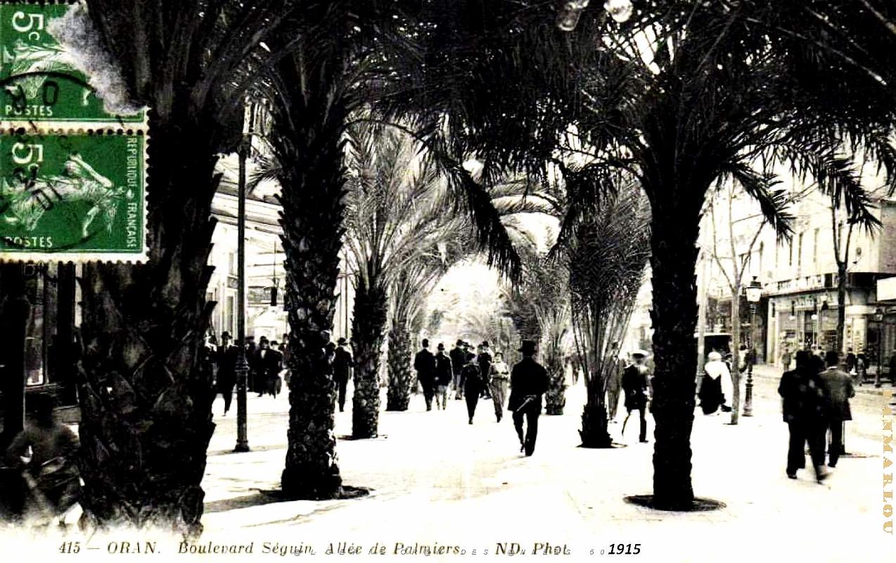 Oran - Boulevard Seguin - Allee des Palmiers - 1915.jpg